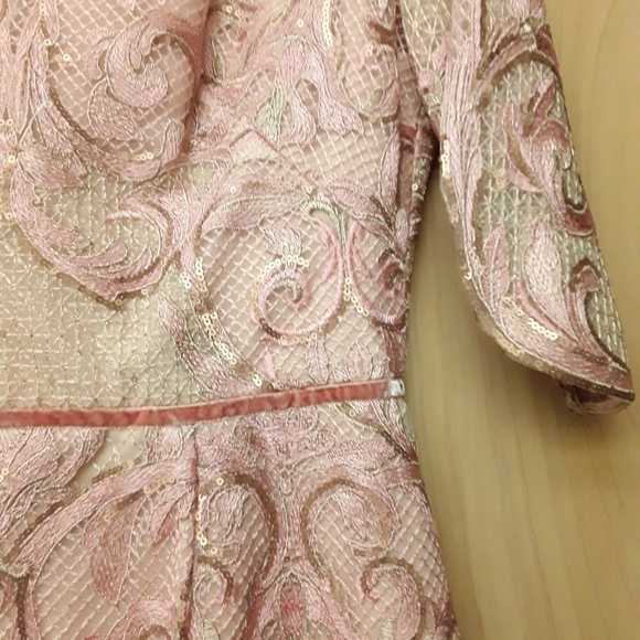 Marchesa Notte Blush Pink Lace Embroidered Dress New Tags Sz 6 - Picture 13 of 16